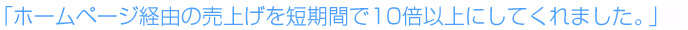 ホームページ経由の売上げを短期間で10倍以上にしてくれました